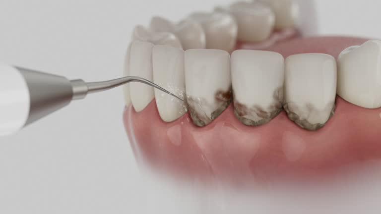 Reliable Dental contractor in Darnestown, MD by Dentist Open Now